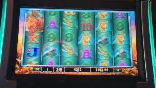 Raging Rhino Slot Machine Bonus