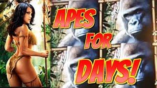 AMAZON QUEEN Slot Machine * BIG WINS!  Apes for Days! | Casino Countess