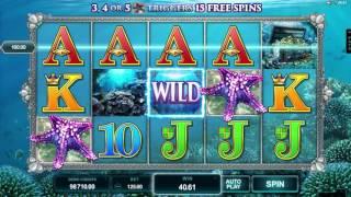 Ariana• free slots machine game preview by Slotozilla.com