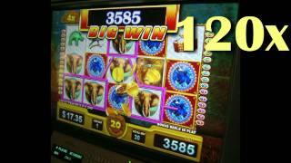 Slot Hits 71: More Slots To Love