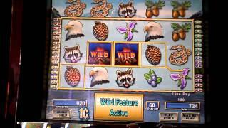 Cascade Mountain slot machine bonus win at the Borgata Casino