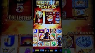 Max Bet $6 Buffalo Gold Continue