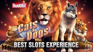 Cats & Dogs Casino - FREE Slots, Blackjack & Video Poker
