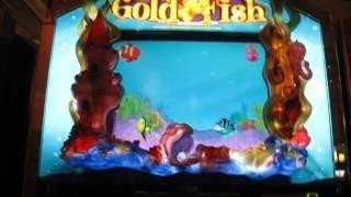 Goldfish Slot Machine Bonus-Max Bet-Palazzo
