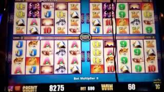 FOR MY NEW FRIEND SLOTVIDEOS - Wonder 4 - Buffalo - MAX BET $8 - $100/12SPINS