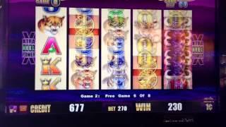 4 Wonders Slot Machine With Buffalo Bonus