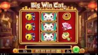 Big Cat Win Slot Features & Game Play - by Play'n Go