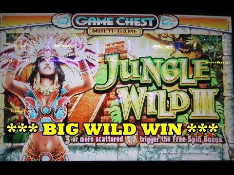 Jungle Wild 3 - Big Bonus Win!