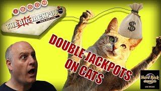 •Double Jackpots on CATS • at Hard Rock Casino Las Vegas