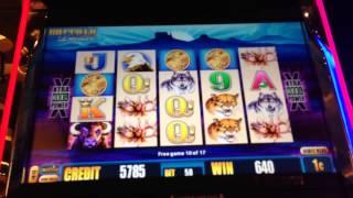 Buffalo Deluxe Slot Machine Bonus