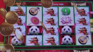 NICE!! WONDER 4 Slot machine - Wild Panda, Buffalo Gold & Deluxe - All Bonuses 8/1/17