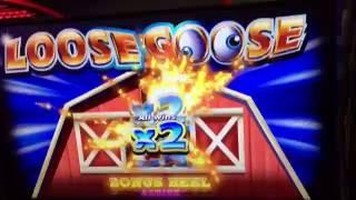 Loose Goose Slot Bonuses - Ainsworth