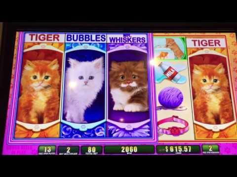 WMS * OMG KITTENS * Slot Machine Free Spins Bonus!