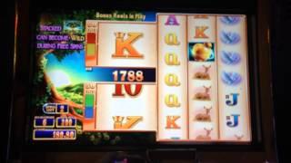 New Nymph's Garden Double Money Burst Slot Machine Bonus
