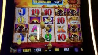Buffalo Gold Slot Machine Bonus and  Line Hit• BIG WIN•