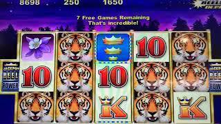 Sun Tiger Slot Machine - Free Games Bonus
