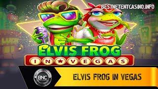 Elvis Frog in Vegas slot by BGAMING