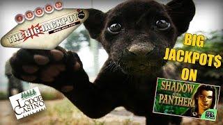 • SHADOW OF THE PANTHER •  DOUBLE BIG JACKPOT$