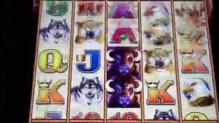 Buffalo Stampede Penny Slot Machine Bonus