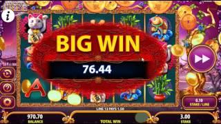 Bally Lucky Tree new slot Dunover plays and wins!