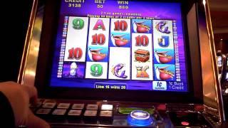 Pelican Pete Slot Machine Bonus Win