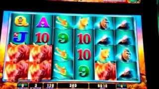 Raging Rhino Slot Machine Bonus New York Casino Las Vegas