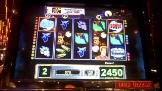 Wolverton Bonus Win at Sands Casino on slot machine