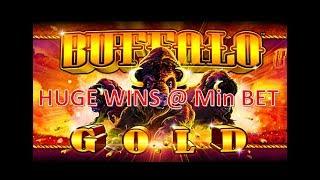 •HUGE WINS MIN BET BONUS• BUFFALO GOLD Slot Machine - Aristocrat @ The Cromwell Las Vegas