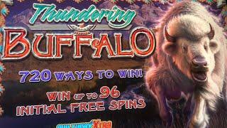 LATE NIGHT • NEW THUNDERING BUFFALO Slot Machine Game - LETS GET A BIG WIN BONUS • BBBB