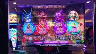 Splitting Hares - Bonus Free Games on Brian of Denver Slots