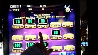 Wild Cougar Mr. Cashman Slot Machine Bonus Win (queenslots)