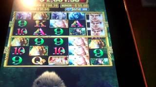 Tarzan and Jane Slot machine bonus II Max Bet