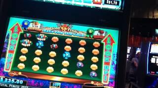 Goldfish Race for the Gold Slot Machine Bonus - Race for the Gold! big Win!