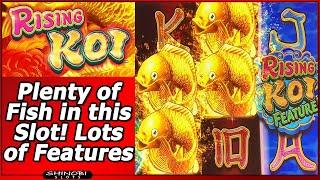 Rising Koi Slot - Plenty of Fish in this Slot!  Lots of Features and Free Spins Bonus!