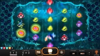 Magic Mushrooms slot by Yggdrasil Gaming - Gameplay