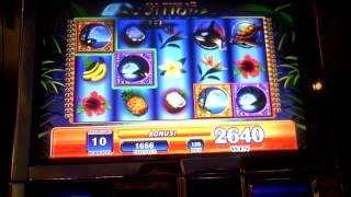 Blue Moon slot machine bonus video