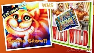 •WMS•  Cheshire Cat Bonus & Neptune's Kingdom II  Line Hit