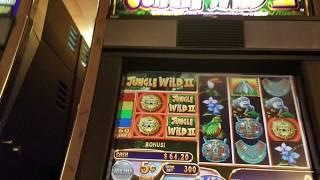 Jungle Wild II Max Bet $15 Bonus Jackpot