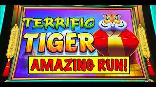 Amazing Run on new Terrific Tiger Slot high limit + more!