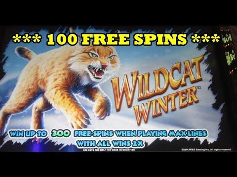 Wildcat Winter!  *** 100 FREE SPINS ***