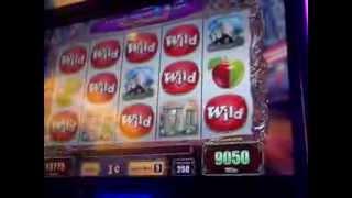 Ripleys Believe it Or Not Max Bet Hit