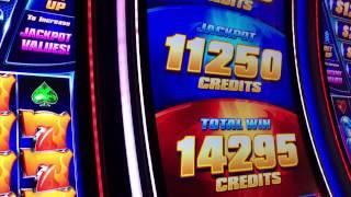 NEW Wild Fury Slot by IGT