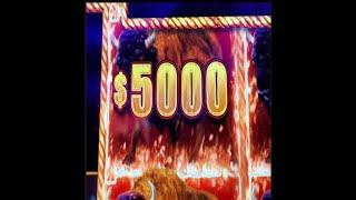 MY BIGGEST JACKPOT EVER ON HIGH LIMIT BUFFALO LINK #shorts