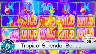 Tropical Splendor Slot Machine Bonus