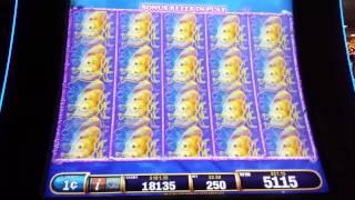 CASH'M IF YOU CAN. SLOT MACHINE BONUS.  MAX BET.