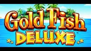 Goldfish Deluxe Bonus Compilation with BIG WIN!