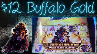 $12 Buffalo Gold Bonus!!!