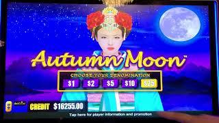 $20,000 Into Dragon Cash & HIT JACKPOT on $250/SPIN!!!