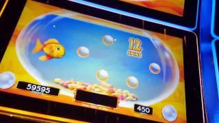 *Max Bets*Going for gold on Saint Patrick's day! Goldfish Deluxe and where's the gold bonuses!