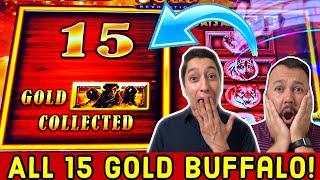 ALL 15 Gold BUFFALO collected! Incredible win on Buffalo Gold Revolution 3 Reel